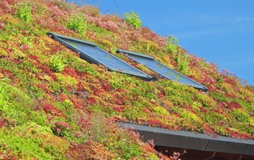 Rattlesden living roof systems